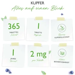 Kupfer 365><noscript><img width=