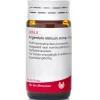 ® Argentum Nitricum comp. Globuli|Wala Outlet