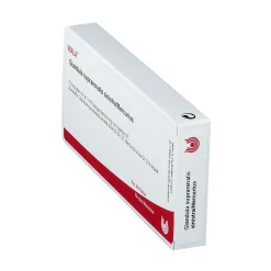 ® Glandula Supraren. SINISTRA/ Mercurius Amp.>Wala Online