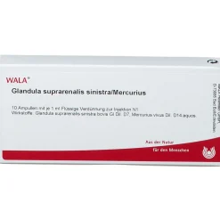® Glandula Supraren. SINISTRA/ Mercurius Amp.><noscript><img width=