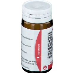® Levisticum E Radice D 6 Globuli|Wala