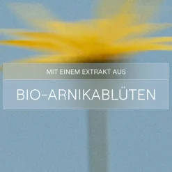 Massageöl Arnika -  die Massge ist durchblutungsfördernd, durchwärmt und lockert Muskeln><noscript><img width=