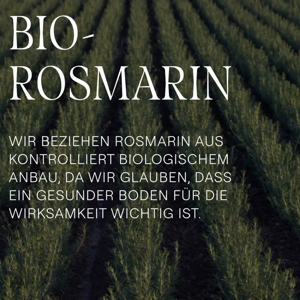 Vitalisierende Rosmarin-Spülung - Nährt und verleiht einen natürlichen Glanz>WELEDA Best