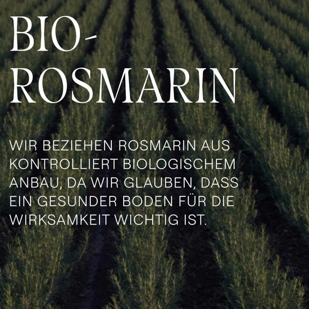 Vitalisierende Rosmarin-Spülung - Nährt und verleiht einen natürlichen Glanz>WELEDA Best