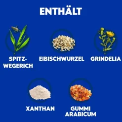WICK Husten-Sirup Natura für Erwachsene: 2-in-1 Linderung von Reizhusten und produktivem Husten><noscript><img width=
