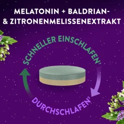 WICK ZzzQuil® Gute Nacht Ein- und Durchschlafen><noscript><img width=