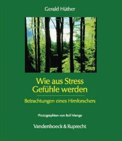 Wie aus Stress Gefühle werden> Outlet