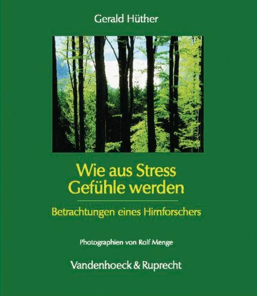 Wie aus Stress Gefühle werden> Outlet