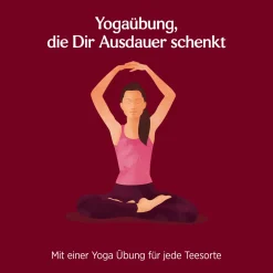 YOGI TEA® Frauenpower, Bio Kräutertee|Taoasis Hot