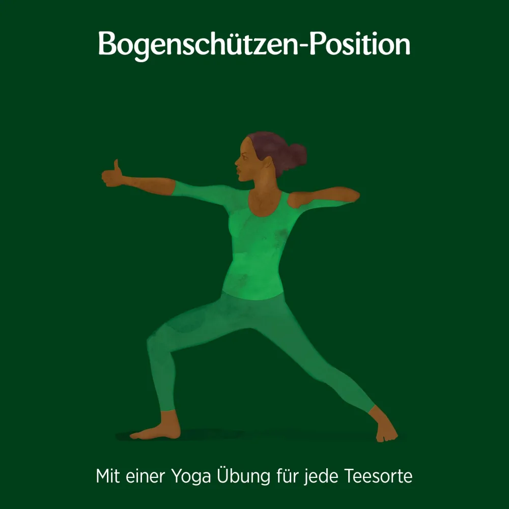 ® Grüne Energie, Grüner Bio Kräutertee>YOGI TEA Outlet