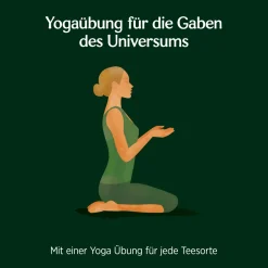 - Grüne Harmonie Bio Grüntee><noscript><img width=