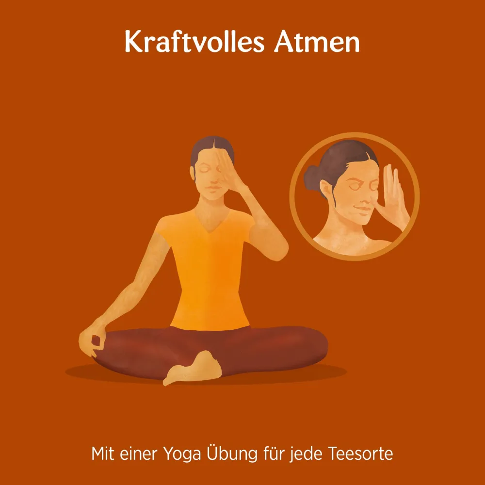 ® Ingwer Orange mit Vanille, Gewürztee|YOGI TEA Online