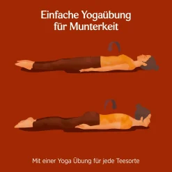 YOGI TEA® Lakritz, Bio Gewürz- und Kräutertee><noscript><img width=