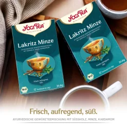 - Lakritz Minze Bio Gewürztee|YOGI TEA Best