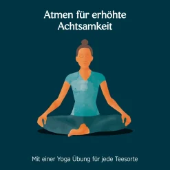 - Lakritz Minze Bio Gewürztee|YOGI TEA Best