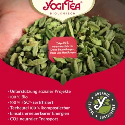 Morgen Energie|YOGI TEA Hot