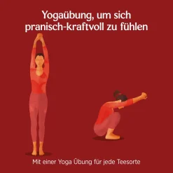 - Positive Energie Bio Schwarztee><noscript><img width=