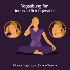 - Rooibos Bio Gewürztee|YOGI TEA Hot