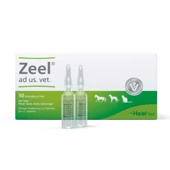 Zeel® ad us. vet. Ampullen>Zeel ad us. vet.