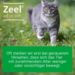 Zeel® ad us. vet. Ampullen><noscript><img width=