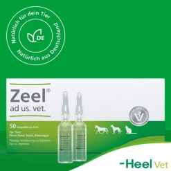 Zeel® ad us. vet. Ampullen><noscript><img width=