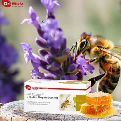 Zell Oxygen® + Gelee Royale 600 mg><noscript><img width=