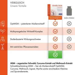 ZÜNDEX forte Complex mit OptiMSMTM|BOTANICY Online